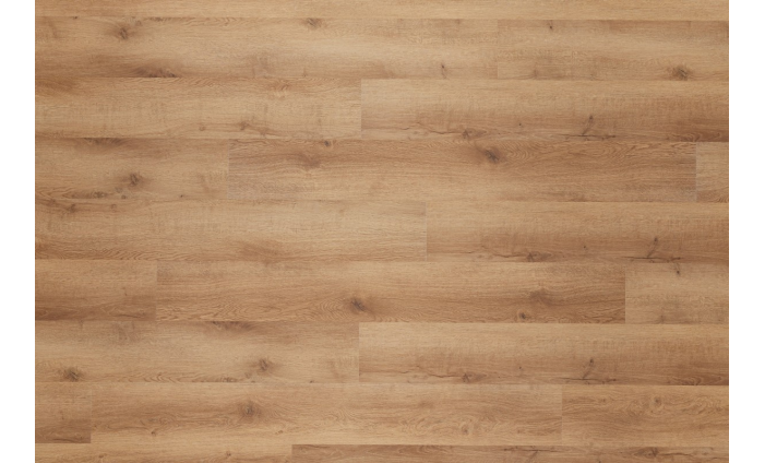 LVT Dub beskydský