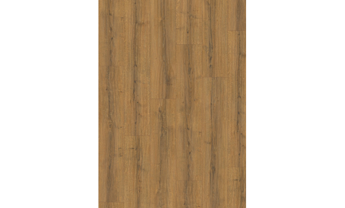 Dub Sherman Cogniac hnedý