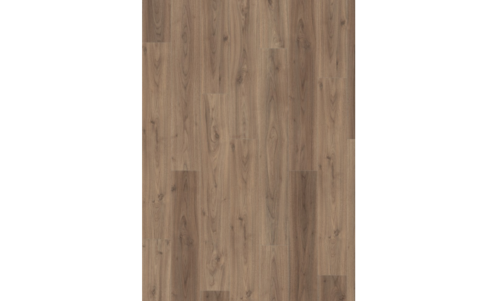 Orech Langley svetlý