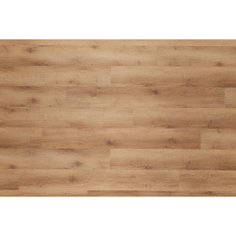 LVT Dub beskydský