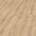 Dub Savona pieskový