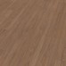Dub Casella hnedý